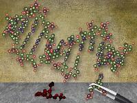 Мавпи з людськими генами - новий проект китайців