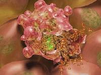 Вмираючі клітини виявилися справжнім порятунком від раку