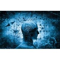 Нестача сну надає величезний ризик для організму