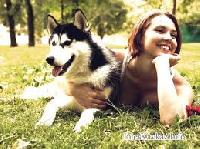 Любов до собак виявилася визначена генами