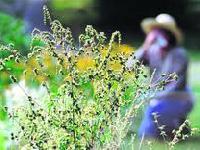 Дослідники дізналися, як зупинити астму