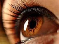 Генетики з'ясували, що саме впливає на колір брів