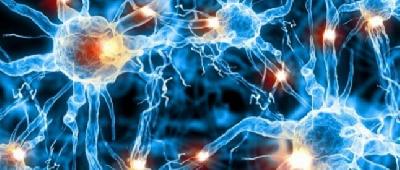 Пошкодження нервової системи при COVID-19 спричинене інфікуванням мозкових клітин - перицитів 