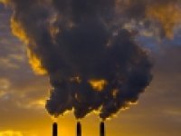 Брудне повітря вбиває репродуктивну систему декількох поколінь