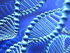 Відкриття: стійкість до антибіотиків може поширюватися через воду