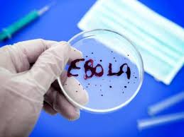 Оприлюднені попередні результати тестування засобів проти лихоманки Ебола