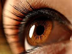 Генетики з'ясували, що саме впливає на колір брів