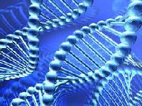 Генетичні паспорта - реальна перспектива