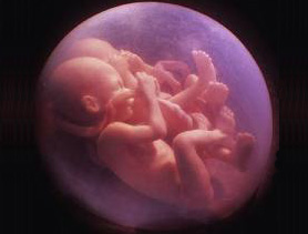 Перший контакт з бактеріями відбувається ще в утробі