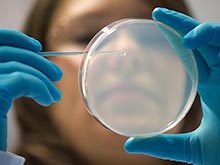 Два нових види стійких бактерій виявили в крові китайських пацієнтів