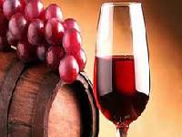 Неврологи розповіли, що стоїть за смаковими уподобаннями