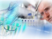 Генетики зробили дивне відкриття