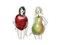 Вчені з'ясували: форма тіла багато в чому визначена генетикою