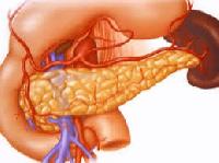 Дослідники виростили штучні клітини підшлункової залози