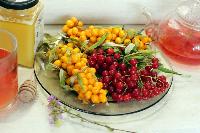 2 осінні суперфуди: вони сприяють підвищенню імунітету та уповільнюють старіння