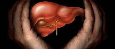 Науковці відкрили білок, який запобігає розвитку інсулінорезистентності та захворювань печінки