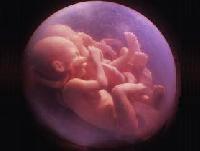 Перший контакт з бактеріями відбувається ще в утробі