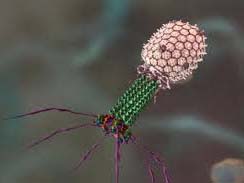 Антибактеріальний гель - потужна зброя проти найнебезпечніших інфекцій