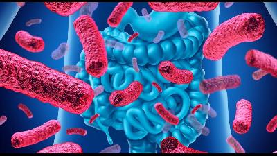 Мікрофлора кишківника впливає на регуляцію рівня глюкози в крові
