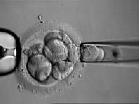 У Китаї народилися перші діти з відредагованою ДНК